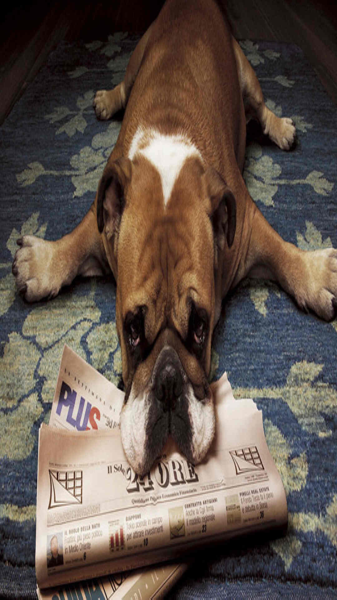 安享好物-商品评价--